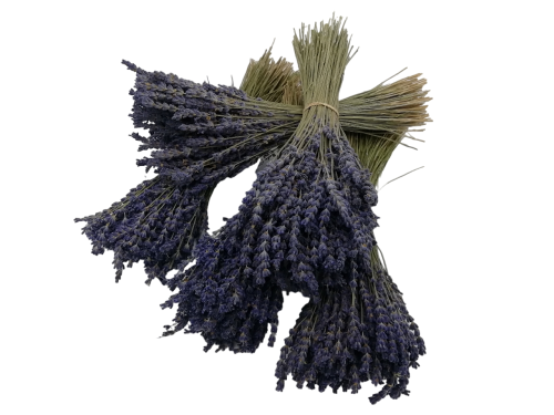 Photo de bouquets de lavande super bleue 80g de France lavande