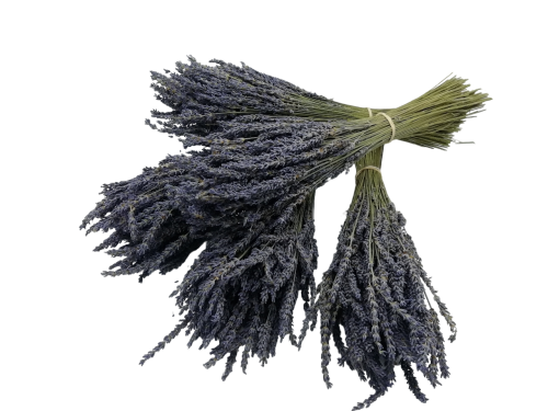 Photo de bouquets de lavandin bleu 100g de France lavande